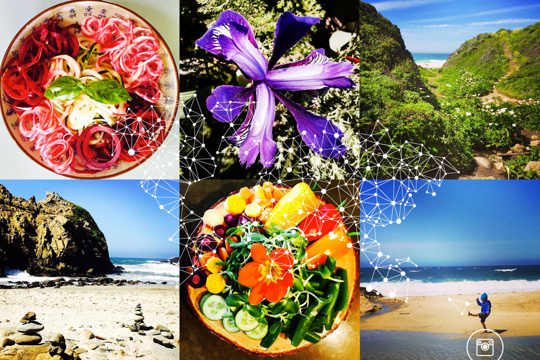 NK_Web_Rotators_4_09.24