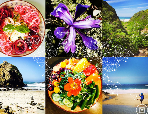 NK_Web_Rotators_4_09.24